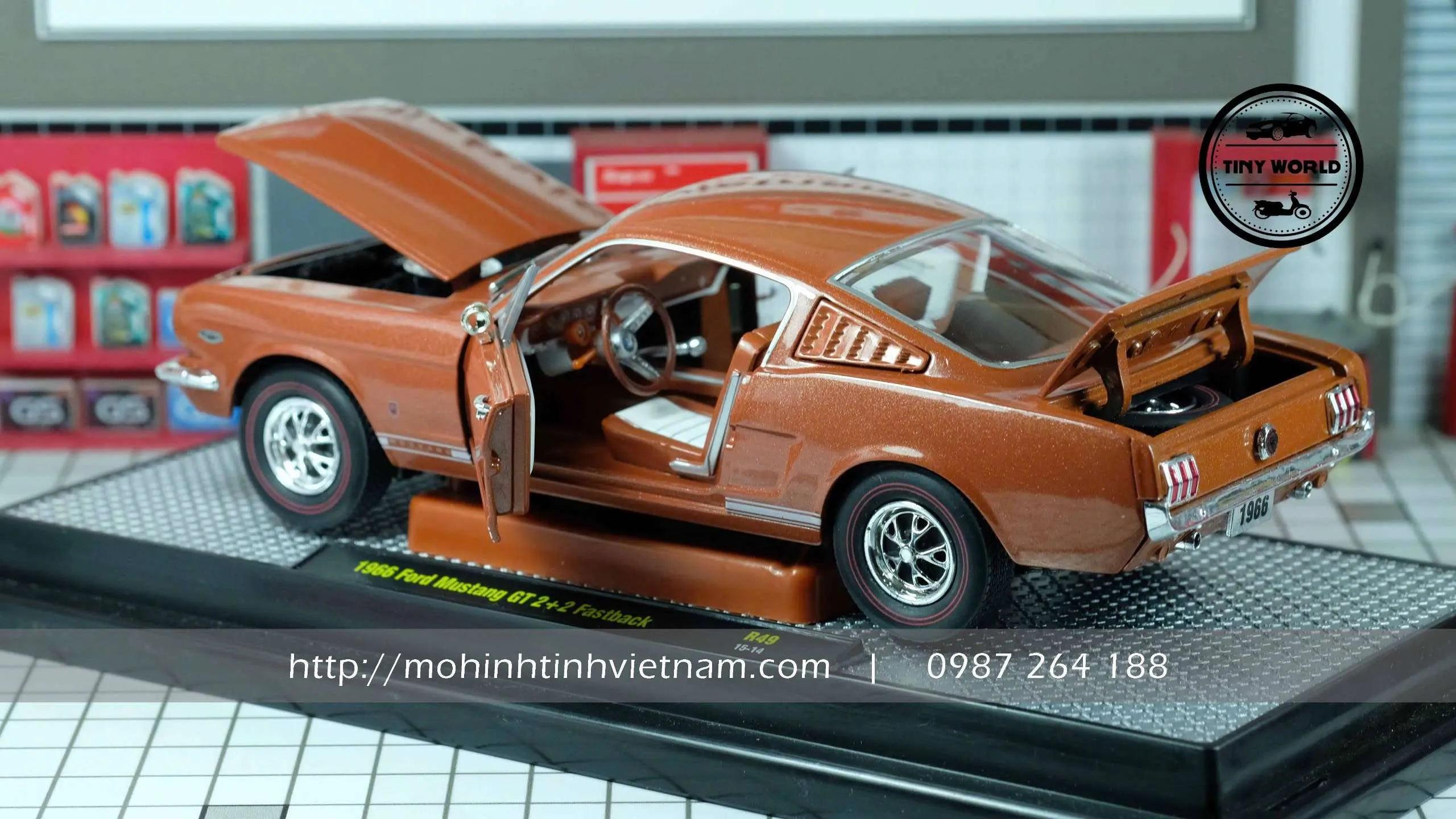 z6505675381002_8ffeeee2da7f1b6963bd975b3f6625ef.jpg-large