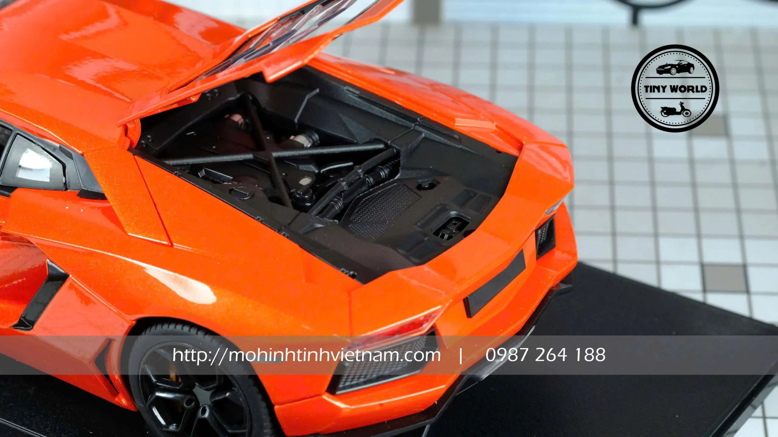 z7332321311606_3a6d61bb97a9c6f976275329bbda0431.jpg-large