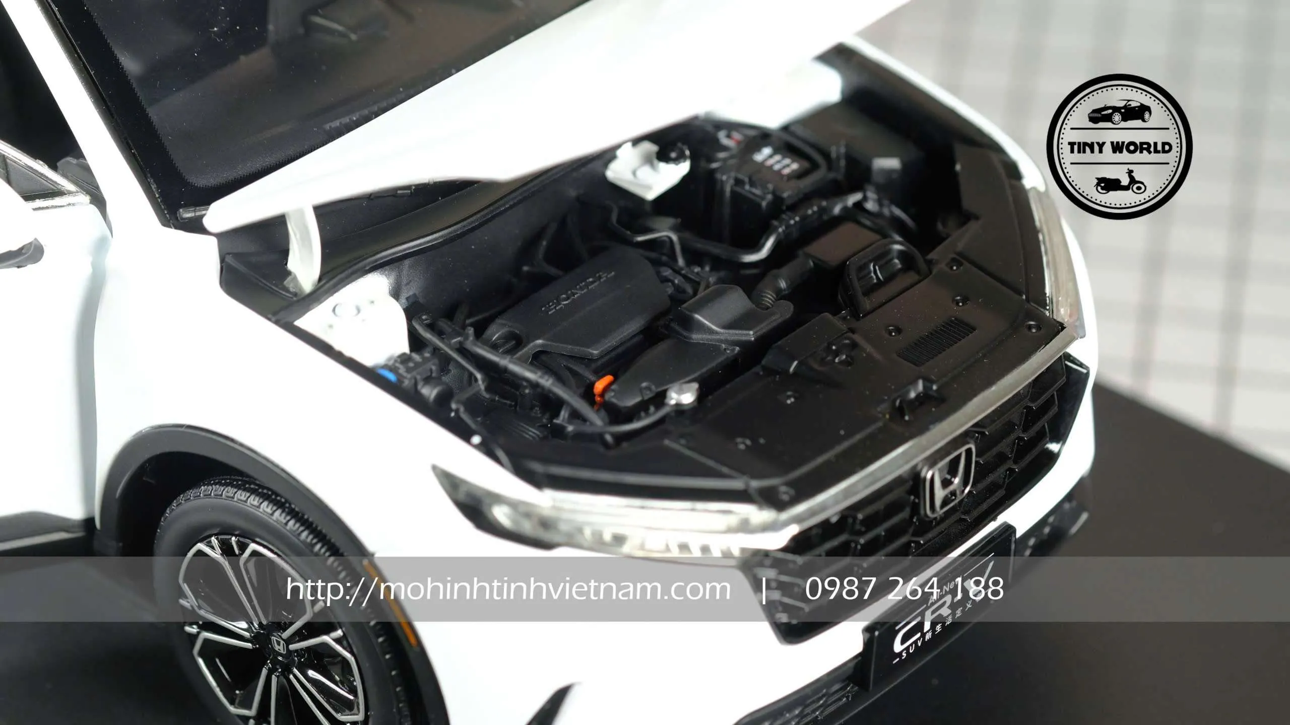 z7456474837340_81f16634e0ec6fc250f81a55abdb5bfe.jpg-large