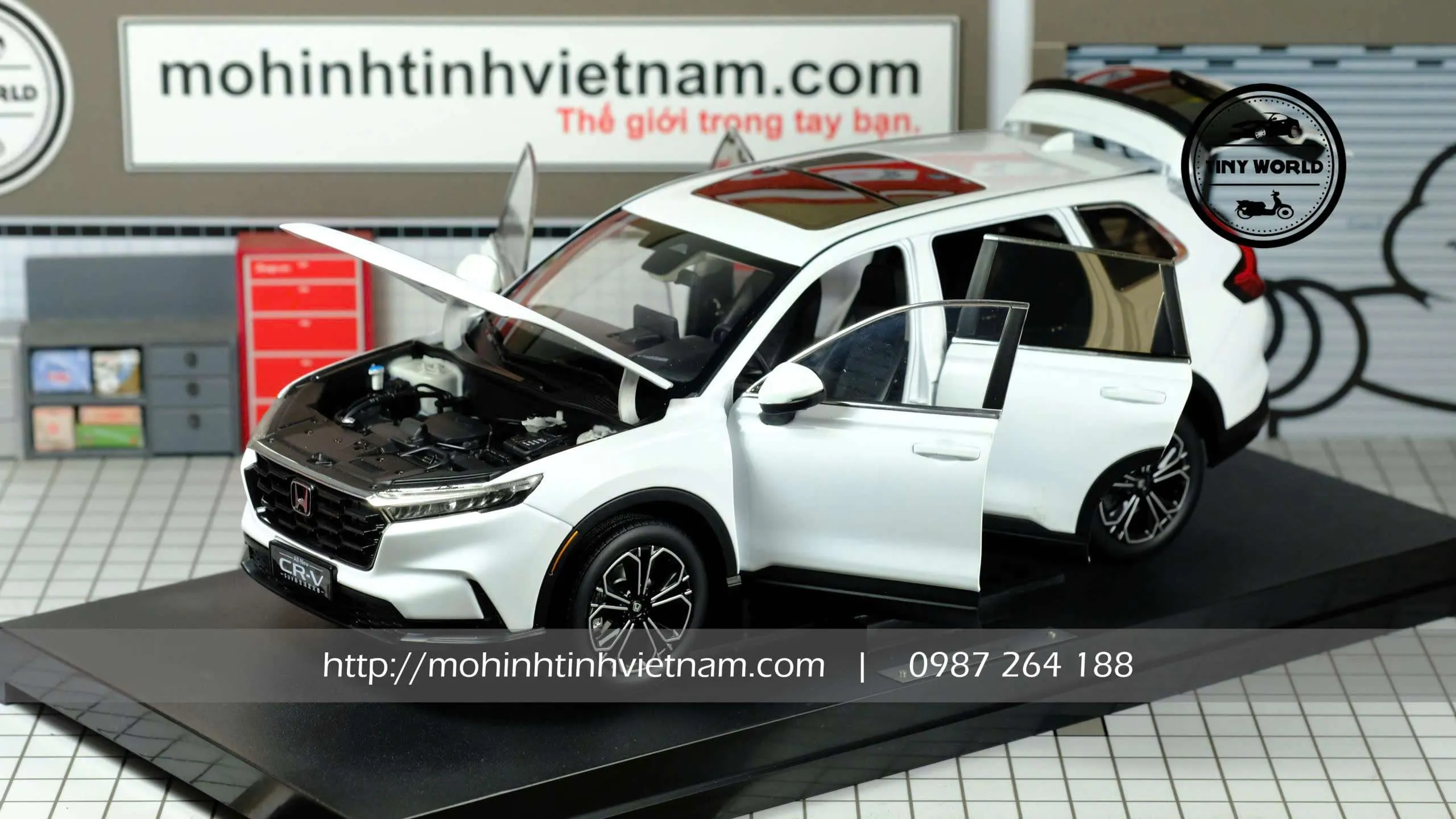 z7456474884585_a38377f2e4d572d58d8186673c7650e6.jpg-large