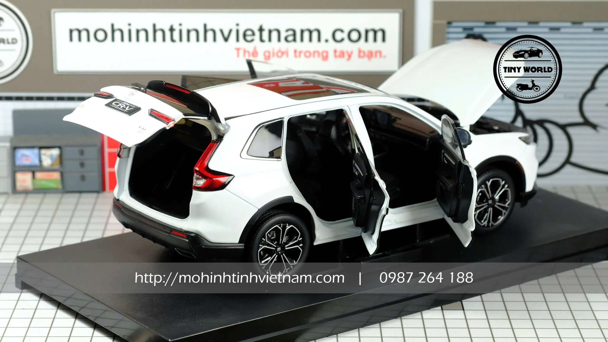 z7456474928921_ee83b4fe0995b55cb4838dc4524d5f0f.jpg-large