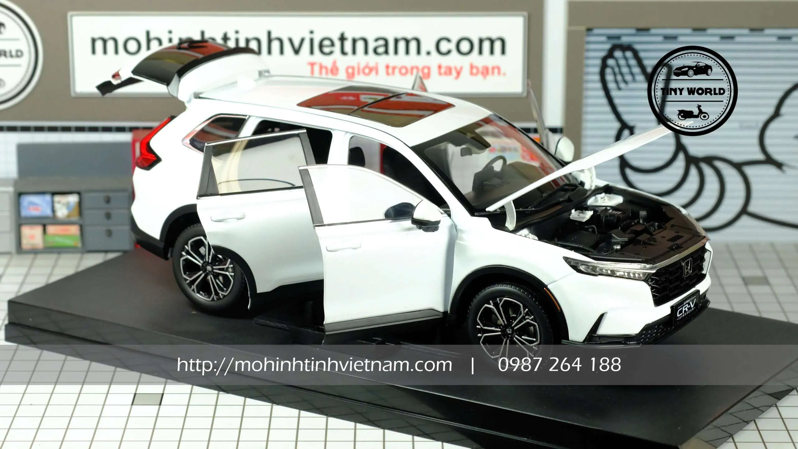 z7456474828862_fb45e14a4ca150d92927a77e7da803c5.jpg-large