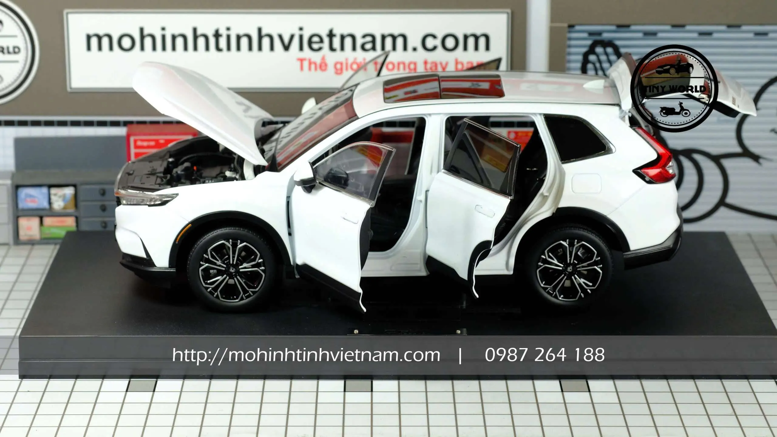 z7456474885293_efc72802c543b05c86c3ed31c3b63175.jpg-large