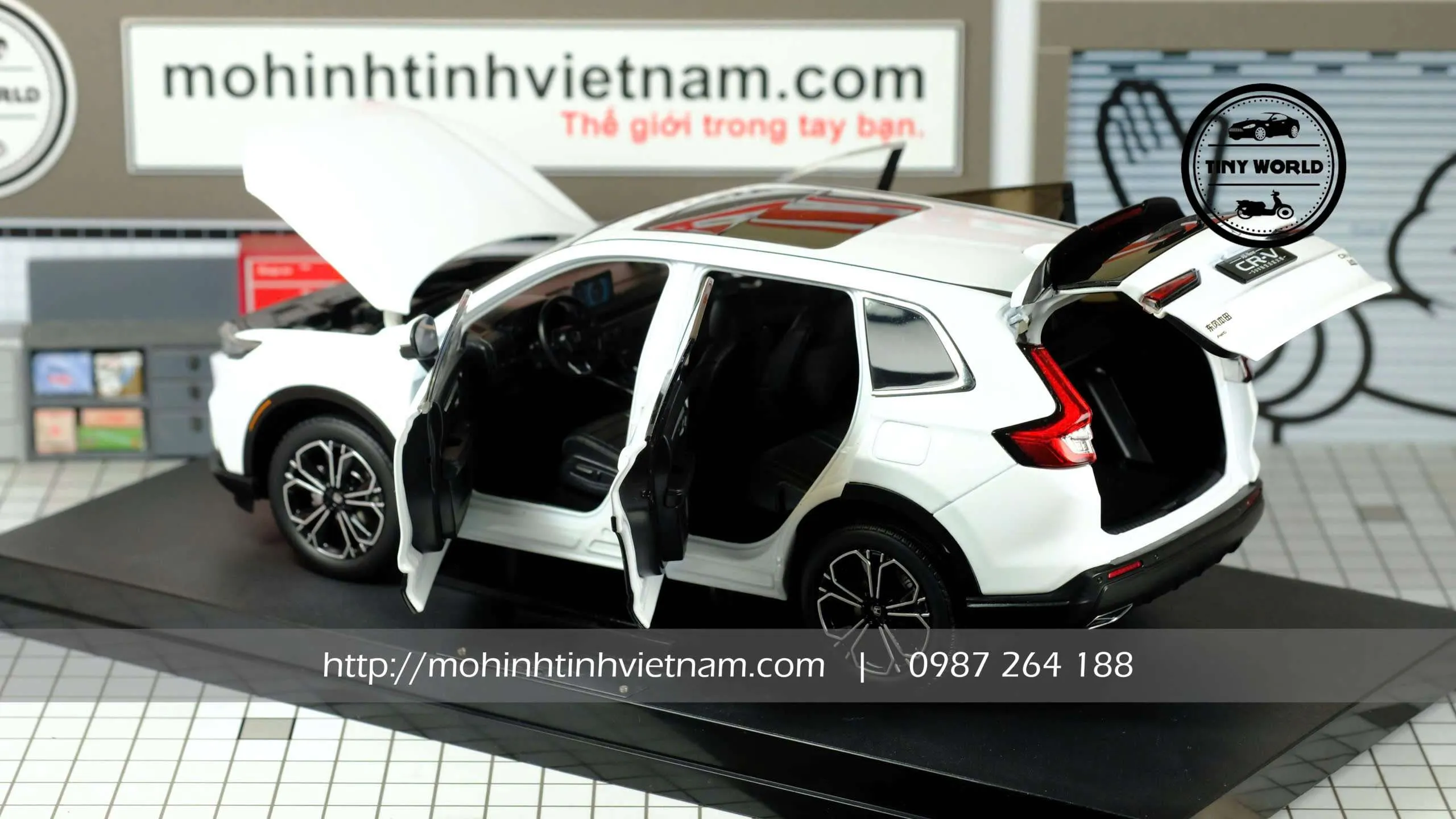 z7456474913215_bca323f7d9aff4f6fe61234d84efef43.jpg-large